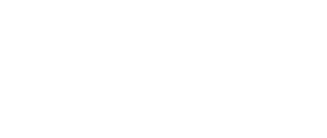 original-penguin